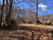 33 Verso la radura prativa della Baita bassa del Sornadello (1370 m)